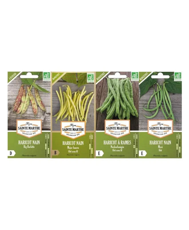 Edizione Limitata 4 sachets de graines à semer - Variétés de haricots nains bio