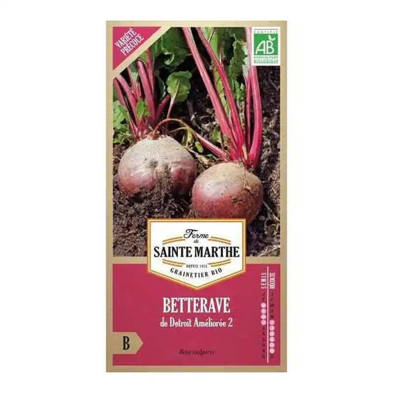 Betterave de Detroit bio – Graines à semer Alta Qualità