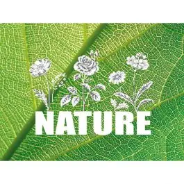 Lusso Kit broderie point de croix Marie Coeur Nature (fleurs)