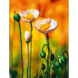 Moderno Kit de broderie avec perles Charivna Mit Coquelicots blancs