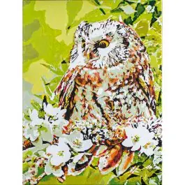 Ultimissimo Modello Kit de peinture par numéro Vervaco Hibou parmi les fleurs