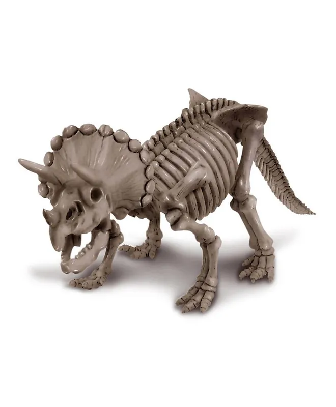 Coffret découverte de la science – Déterre ton triceratops Saldi