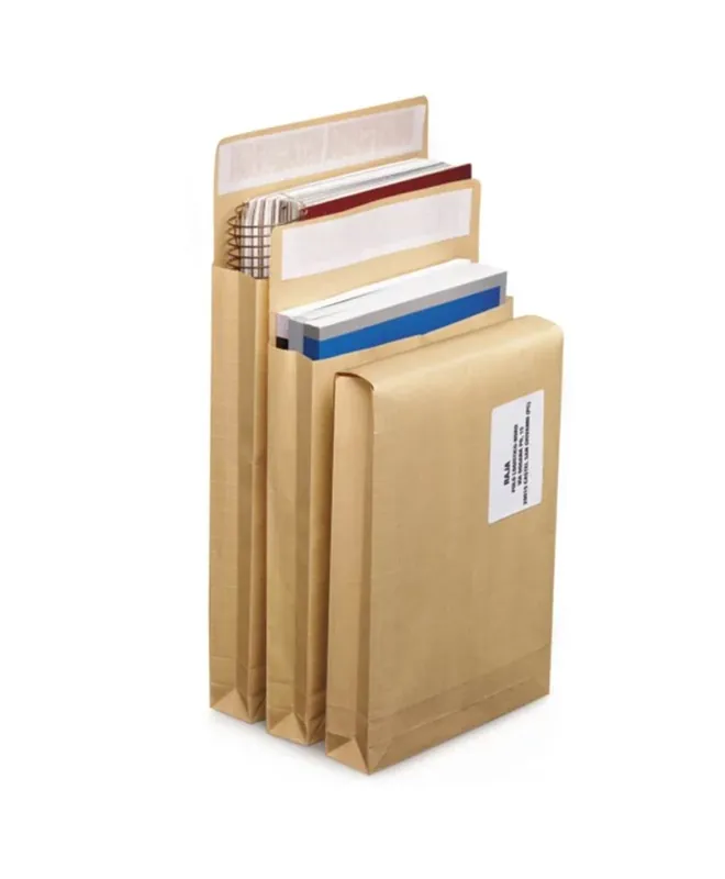 10 pochettes kraft renforcées dépliables – 26 x 28 cm Professionale
