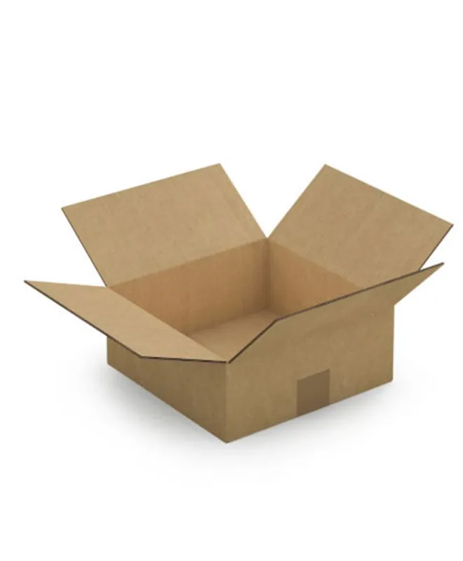 10 cartons d’emballage 25 x 25 x 10 cm – Double cannelure Prezzo Ridotto
