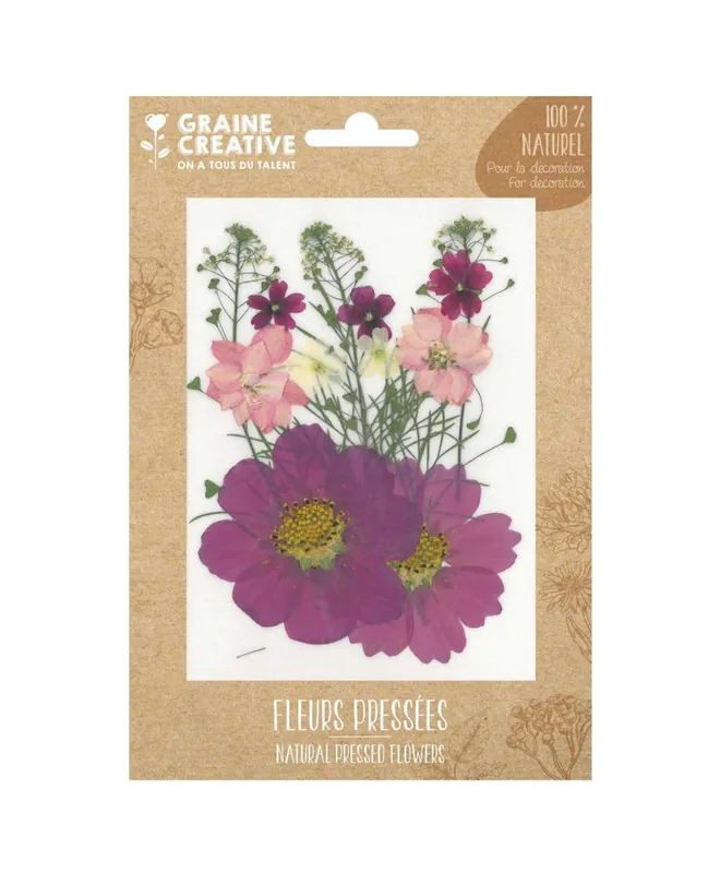 14 fleurs pressées – prairie parme Nuova Collezione