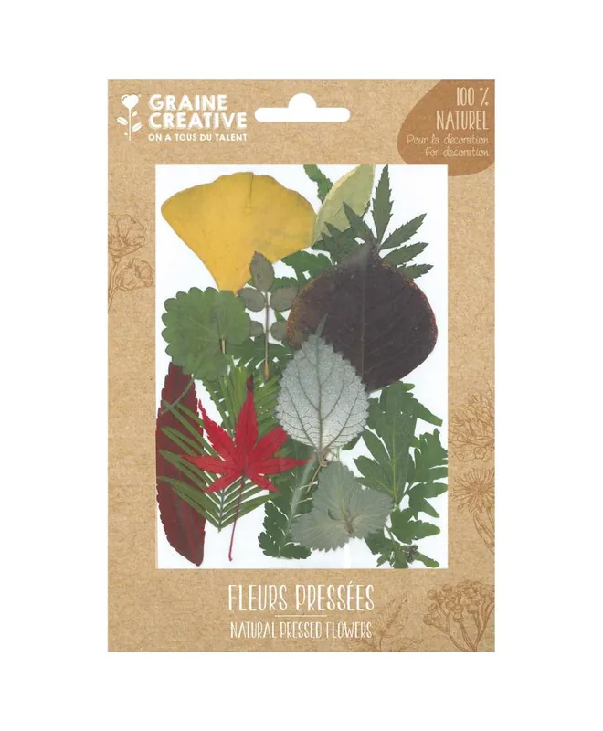 15 fleurs pressées – forêt 1 Offerta Lampo