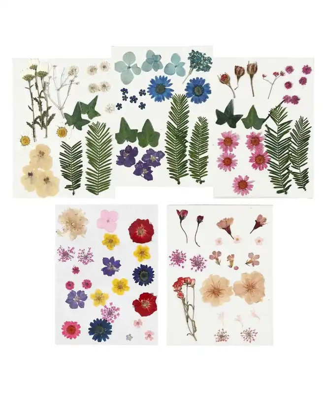 100 fleurs séchées et pressées multicolores Ultime Pezzi